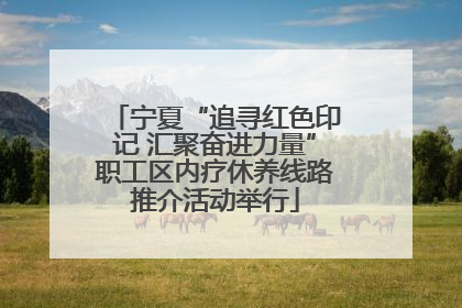 宁夏“追寻红色印记 汇聚奋进力量”职工区内疗休养线路推介活动举行