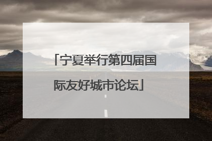 宁夏举行第四届国际友好城市论坛