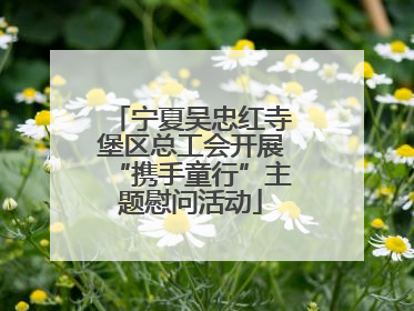 宁夏吴忠红寺堡区总工会开展“携手童行”主题慰问活动