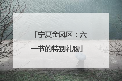 宁夏金凤区：六一节的特别礼物