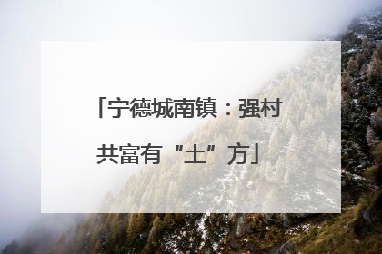 宁德城南镇：强村共富有“土”方