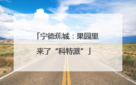 宁德蕉城：果园里来了“科特派”