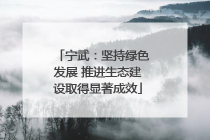 宁武：坚持绿色发展 推进生态建设取得显著成效