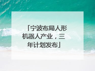 宁波布局人形机器人产业，三年计划发布