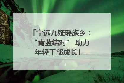 宁远九疑瑶族乡：“青蓝结对” 助力年轻干部成长