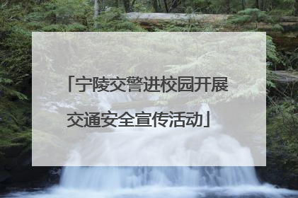 宁陵交警进校园开展交通安全宣传活动