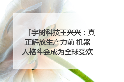 宇树科技王兴兴：真正解放生产力前 机器人格斗会成为全球受欢迎的赛事｜科技观察