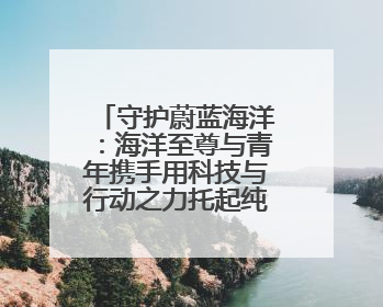 守护蔚蓝海洋：海洋至尊与青年携手用科技与行动之力托起纯净未来