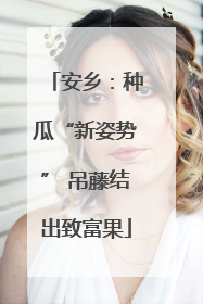 安乡：种瓜“新姿势” 吊藤结出致富果