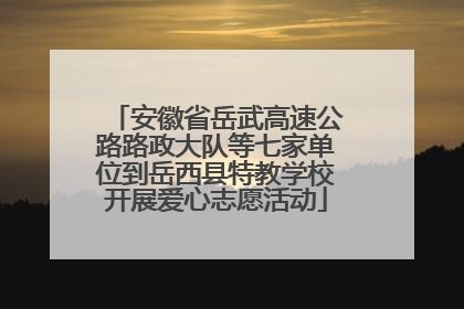 安徽省岳武高速公路路政大队等七家单位到岳西县特教学校开展爱心志愿活动