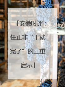 安徽时评：任正非“干就完了”的三重启示