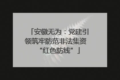 安徽无为：党建引领筑牢防范非法集资“红色防线”