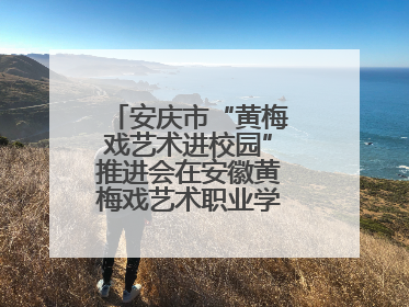 安庆市“黄梅戏艺术进校园”推进会在安徽黄梅戏艺术职业学院顺利召开