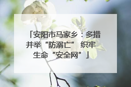 安阳市马家乡：多措并举“防溺亡” 织牢生命“安全网”