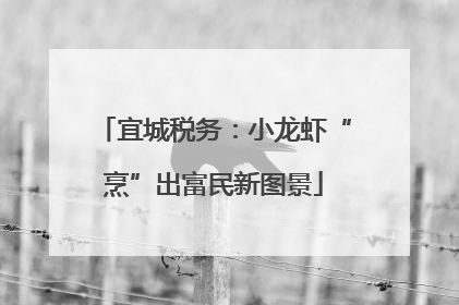 宜城税务：小龙虾“烹”出富民新图景