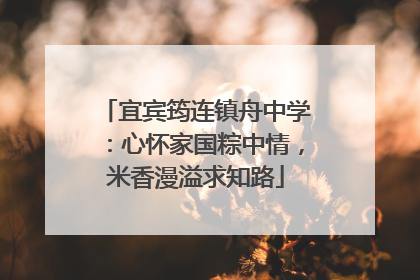 宜宾筠连镇舟中学：心怀家国粽中情，米香漫溢求知路
