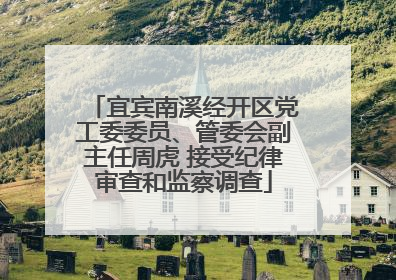 宜宾南溪经开区党工委委员、管委会副主任周虎 接受纪律审查和监察调查