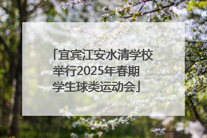 宜宾江安水清学校举行2025年春期学生球类运动会