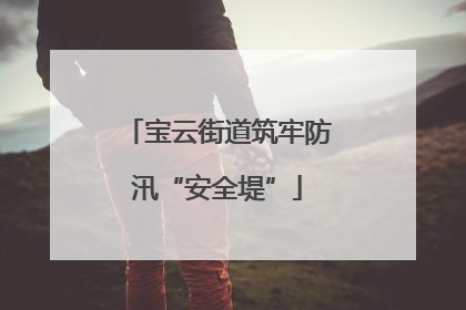 宝云街道筑牢防汛“安全堤”