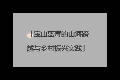 宝山蓝莓的山海跨越与乡村振兴实践