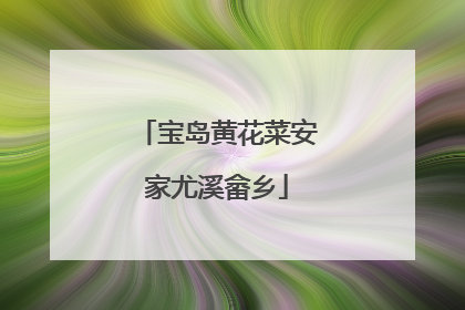 宝岛黄花菜安家尤溪畲乡