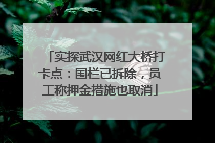 实探武汉网红大桥打卡点：围栏已拆除，员工称押金措施也取消