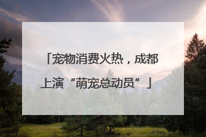 宠物消费火热，成都上演“萌宠总动员”