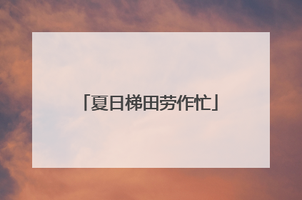 夏日梯田劳作忙