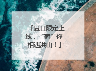 夏日限定上线，“荷”你相遇洪山！