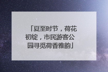 夏至时节，荷花初绽，市民游客公园寻觅荷香雅韵