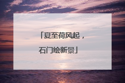 夏至荷风起，石门绘新景