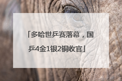 多哈世乒赛落幕，国乒4金1银2铜收官