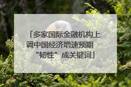 多家国际金融机构上调中国经济增速预期 “韧性”成关键词