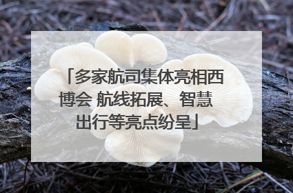 多家航司集体亮相西博会 航线拓展、智慧出行等亮点纷呈