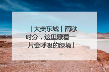 大美东城｜雨歇时分，这里藏着一片会呼吸的绿境