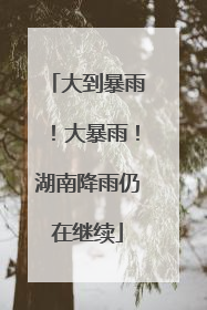 大到暴雨！大暴雨！湖南降雨仍在继续