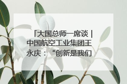 大国总师一席谈｜中国航空工业集团王永庆：“创新是我们的基因密码”