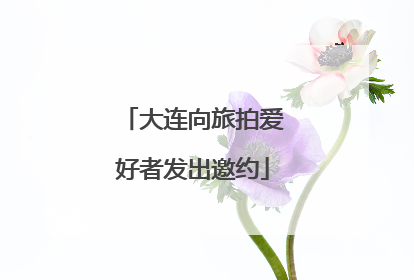 大连向旅拍爱好者发出邀约