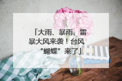 大雨、暴雨、雷暴大风来袭！台风“蝴蝶”来了