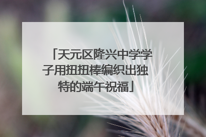 天元区隆兴中学学子用扭扭棒编织出独特的端午祝福