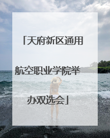 天府新区通用航空职业学院举办双选会