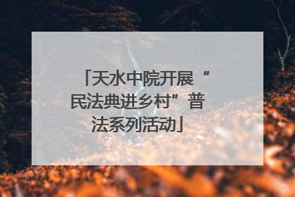 天水中院开展“民法典进乡村”普法系列活动