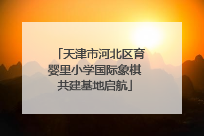 天津市河北区育婴里小学国际象棋共建基地启航