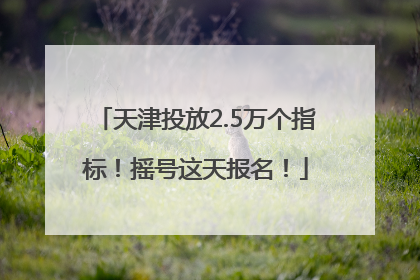 天津投放2.5万个指标！摇号这天报名！