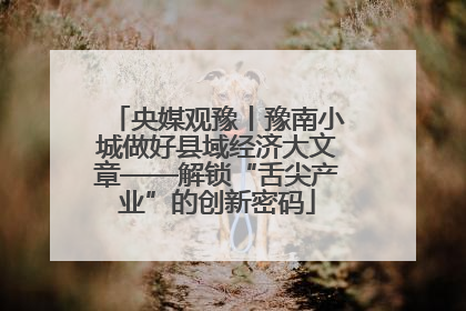 央媒观豫丨豫南小城做好县域经济大文章——解锁“舌尖产业”的创新密码