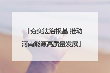 夯实法治根基 推动河南能源高质量发展
