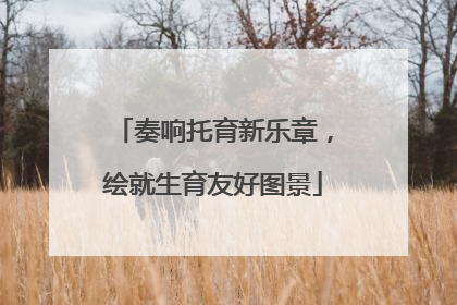 奏响托育新乐章，绘就生育友好图景
