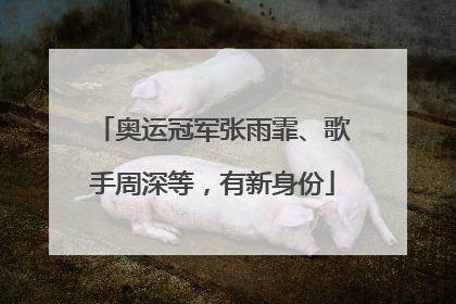 奥运冠军张雨霏、歌手周深等，有新身份