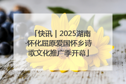 快讯｜2025湖南·怀化屈原爱国怀乡诗歌文化推广季开幕