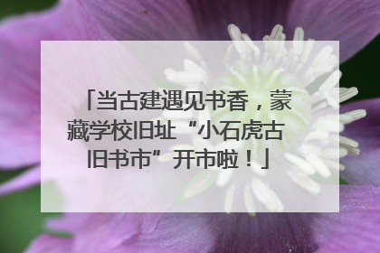 当古建遇见书香，蒙藏学校旧址“小石虎古旧书市”开市啦！